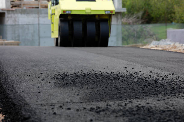 Best Driveway Repair Near Me  in Morrice, MI