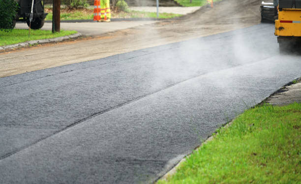 Best Local Driveway Pavers  in Morrice, MI