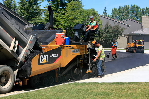 Best Custom Driveway Pavers  in Morrice, MI