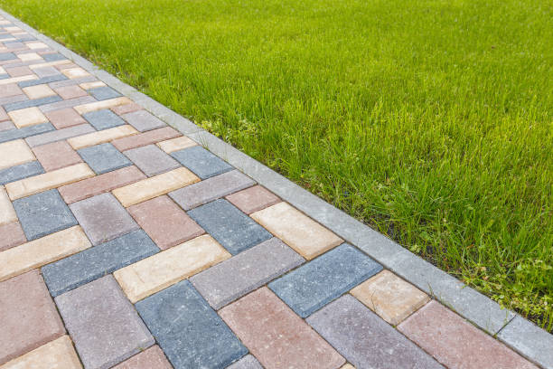 Best Commercial Driveway Pavers  in Morrice, MI